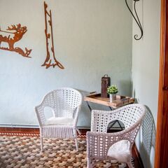 Décoration forestière